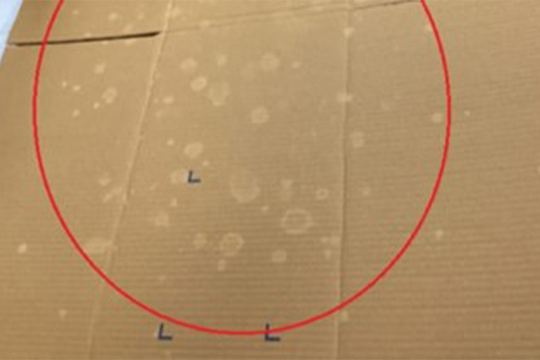 Starch-Based Adhesive Glue